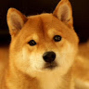 Meet your Posher, Sean